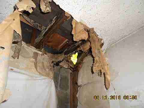 19246 Albany (10)_m.jpg